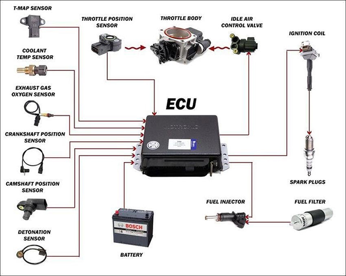 Ecu